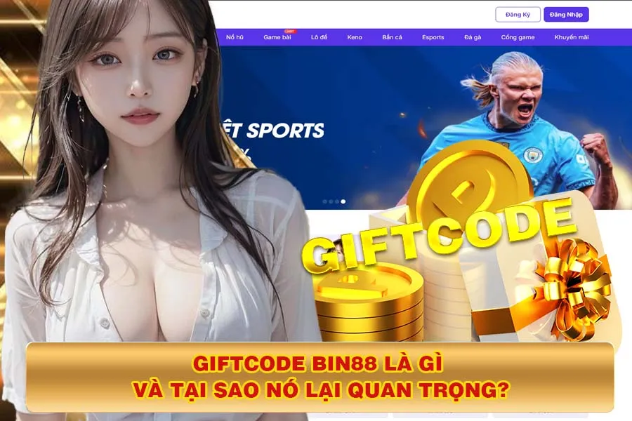Săn Code Bin88 như thế nào?
