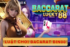 luật chơi bacarat Bin88